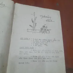 Nghệ thuật CẮM HOA 565299