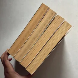 Mệnh phượng hoàng Trọn bộ 4 tập 754123