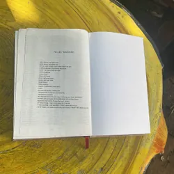 THUỐC BỆNH VÀ CÁCH SỬ DỤNG- DS PHẠM THIỆP - DS VŨ NGỌC THUÝ 695150