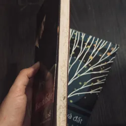 Combo Marai Sandor 598739