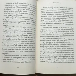 The Displaced - Viet Thanh Nguyen 729035