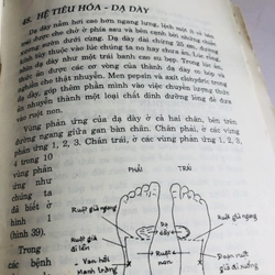 BẤM HUYỆT NƠI BÀN CHÂN 548734