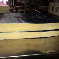 Lê hấp đường phèn - Tửu Tiểu Thất 1019143