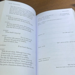 Romeo and Juliet William Shakespeare 509034
