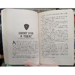 Rockoholic - C J Skuse 990422