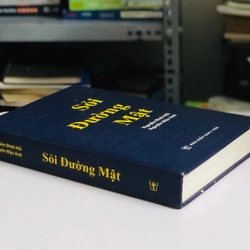 📚 SỎI ĐƯỜNG MẬT – Nguyễn Đình Hối, Nguyễn Mậu Anh 539457