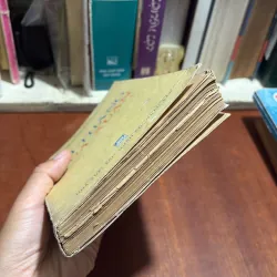 II Sách Lịch Sử: Đại Thắng Mùa Xuân - Đại Tướng Văn Tiến Dũng - 1977 1004988