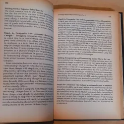 Financial Shenanigans - Howard M. Schilit 1012963