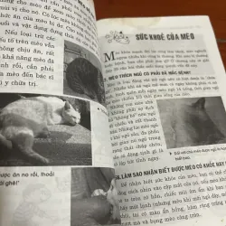 Cách nuôi mèo  1005189