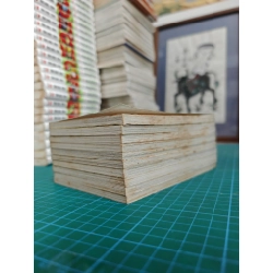 Truyện tranh nàng công chúa bỏ trốn 465571