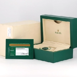 Đồng hồ Rolex Datejust 116231G SSxPG tự động - Hàng hiệu chính hãng 880361