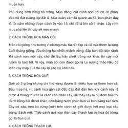 Sách cổ quý hiếm Kỳ phương diệu thuật  139619