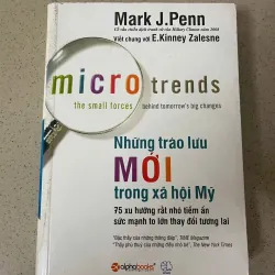 NHỮNG TRÀO LƯU MỚI TRONG XÃ HỘI MỸ 1022312