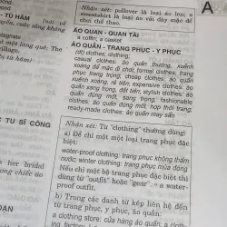 Từ điển dụng ngữ Việt - Anh 786999