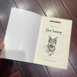 Văn học tuổi hoa - CHÓ HOANG - BÙI TỰ LỰC nxb KD 2017  1026002