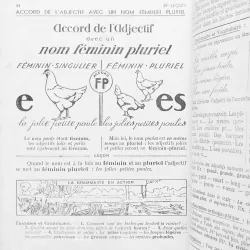 La Grammaire Par l'image - Premier Livre 59980