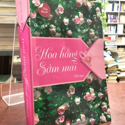 HOA HỒNG SỚM MAI