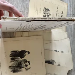 Bộ sách nghệ thuật "Сто рисунков из сочинения Н.В. Гоголя 'Мертвые души'" 1027781