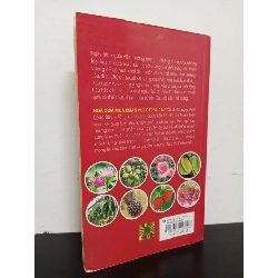 Hoa Quả Mùa Xuân - Vừa Đẹp Vừa Ngon (2013) - Lương y Đinh Công Bảy Mới 80% HCM.ASB1103 356960