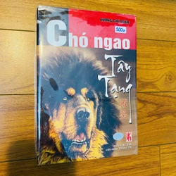 CHÓ NGAO TÂY TẠNG - VƯƠNG CHÍ QUÂN #TAKE