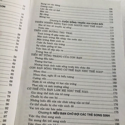CHUẨN BỊ LÀM MẸ 522973