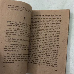 Têrêda G. Amado 998248