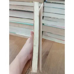 Thích tình nhã thú - Đỗ Lương Nhất