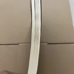 Người Tình Sputnik 927912