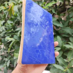 Bonsai Cây Kiểng Cổ - Trần Hợp 925345