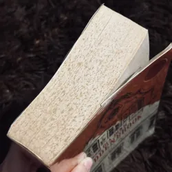 Gia đình Budden Brook 997967