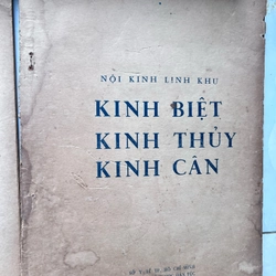 Nội kinh linh khu - Huỳnh Minh Đức 532331