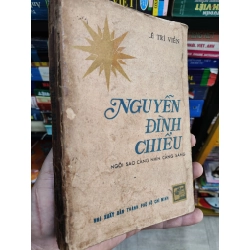 Nguyễn Đình Chiểu ngôi sao càng nhìn càng sáng - Lê Trí Viễn