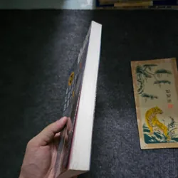 Giăng lưới bắt chim - Nguyễn Huy Thiệp 735625