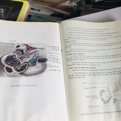 BỘ 2 TẬP GIẢI PHẪU HỌC ( NGUYỄN QUANG QUYỀN) 578170