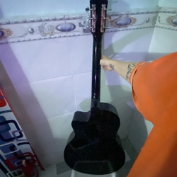 Gujtar acoustic  446414