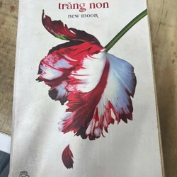 Trăng non .24