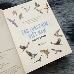 Các loài chim Việt Nam (Bản đặc biệt) 736163