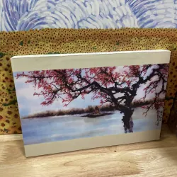 Trương Hán Minh - Tranh Thủy Mặc 2017 - Tập 6 958118