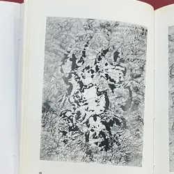 Trương Thìn 1044811