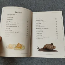 ÁO GIÁP ĐỘNG VẬT 720729