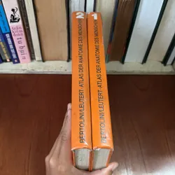 II Atlas der Anatomie des Menschen - Band 1 + 2 - Bertolini, Leutert - 1987 593995