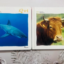 𝐒𝐚́𝐜𝐡 𝐚̉𝐧𝐡 𝐯𝐞̂̀ 𝐭𝐮̛̣ 𝐧𝐡𝐢𝐞̂𝐧 tiếng Hàn 사진으로 보이는 자연 이야기  496926