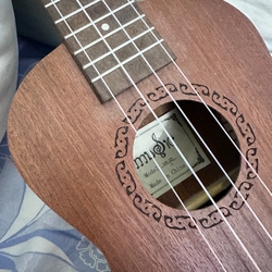 Đàn Ukulele Gỗ chính hãng size concert basic