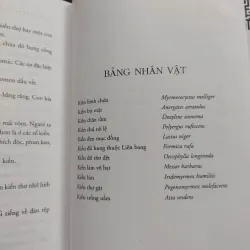 Sách: Kiến (A1) - Tác giả: Bernard Werber 658251