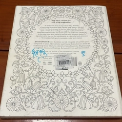 PICTURE BOOK Ivy and the inky butterfly 536315