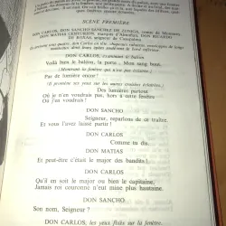 Posesies Theatre Victor Hugo 957985