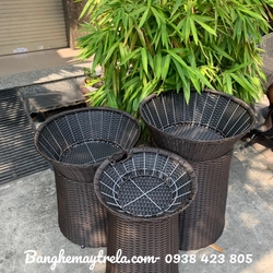 Giỏ đựng trái cây cho siêu thị 482495