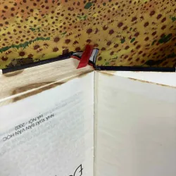 Đỏ Và Đen - Stendhal 1025616