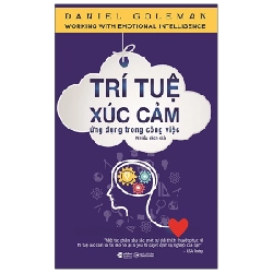 Trí Tuệ Xúc Cảm Ứng Dụng Trong Công Việc - Daniel Goleman 294658