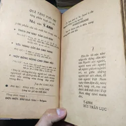 Một Bông Hồng Cho Tình Yêu - Ý Anh Bùi Trần Lục 1010526